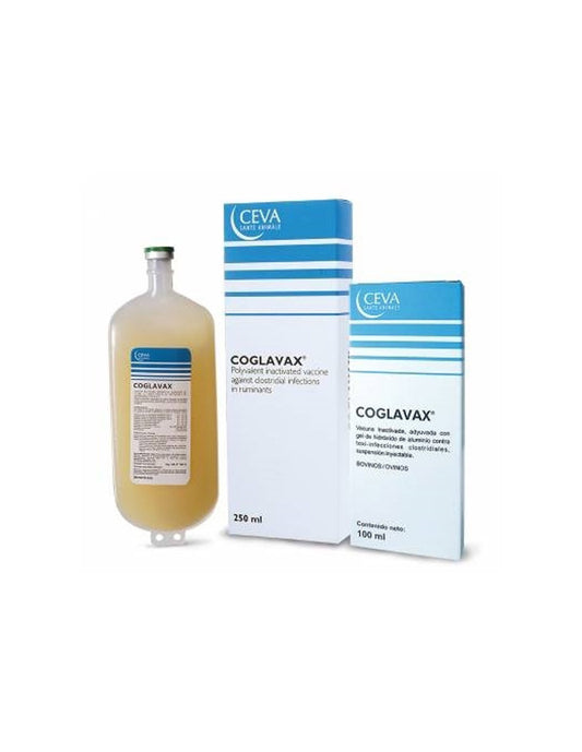 Coglavax x 250 ml